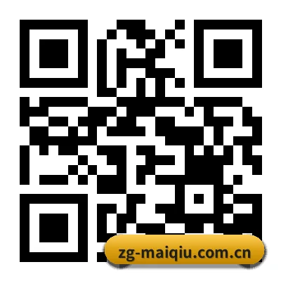iOS 系统版 二维码
